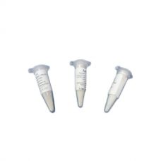 Купить Закваска для козьего сыра в Северодвинске